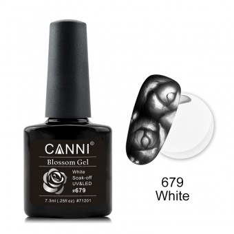 Canni Blossom Gel, для акварельной росписи № 679